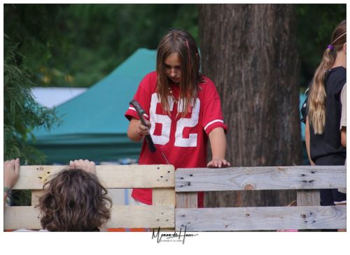 029-IMG 5110