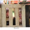 054-S62A4450
